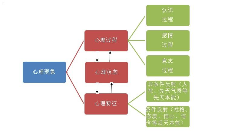 咖啡机市场分析与运营策略