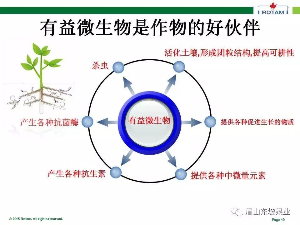 微生物肥料概述