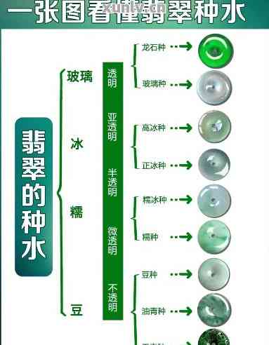 防水胶最新概览与全面解读