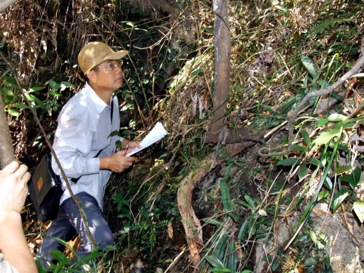 兰科植物最新动态报道与解读