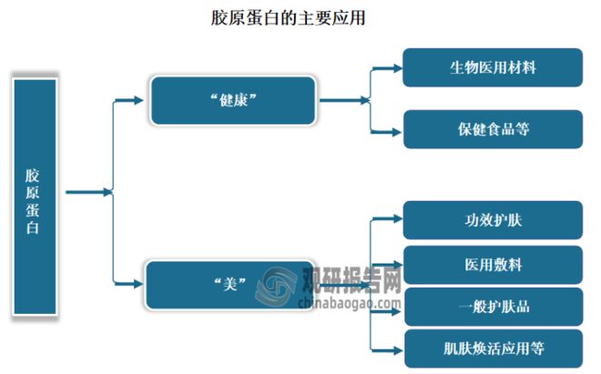 低压继电器最新解读