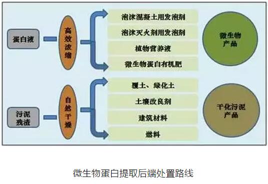 蛋白质饲料交集与合作