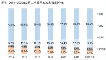 二手琵琶最新进展与未来展望