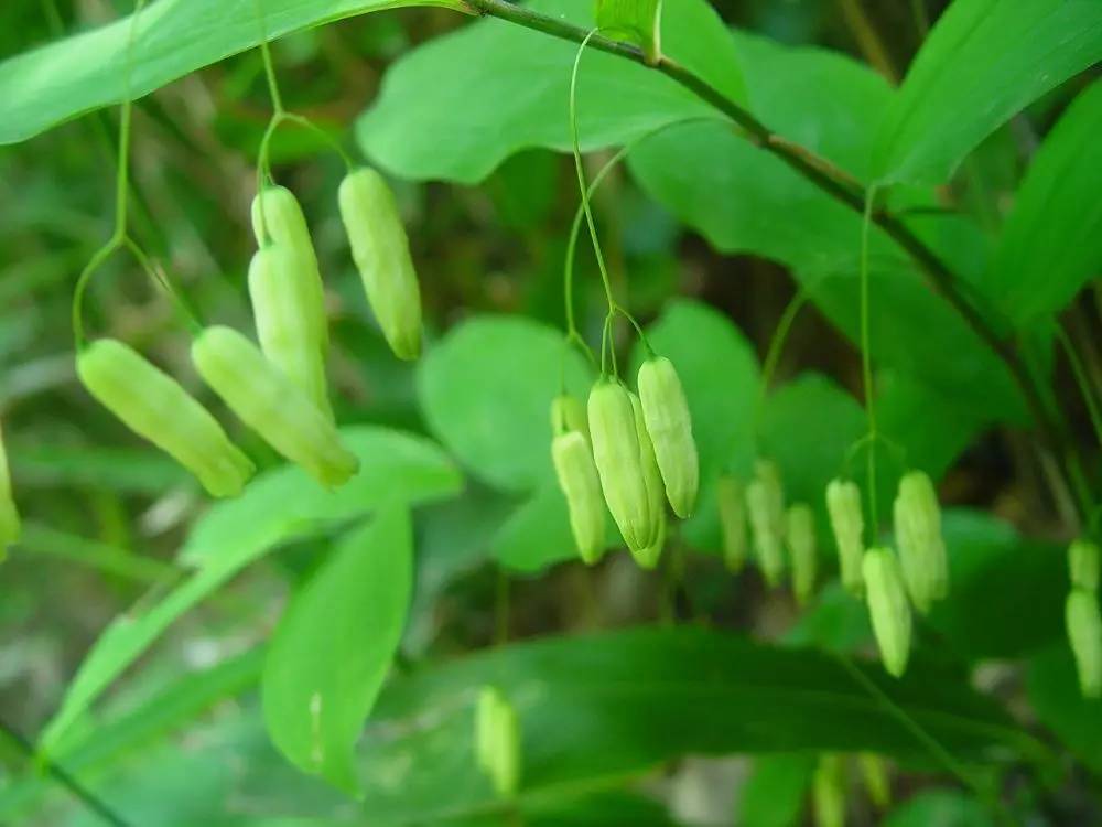 微生物农药最新消息