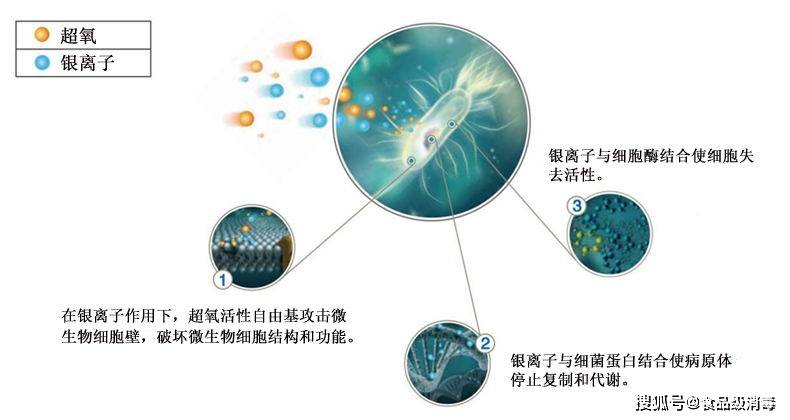 塑料球与车间清洁用品的距离