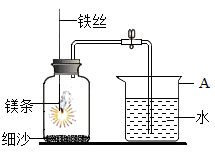 护色剂实验