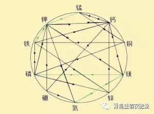 磷会影响铁的吸收吗